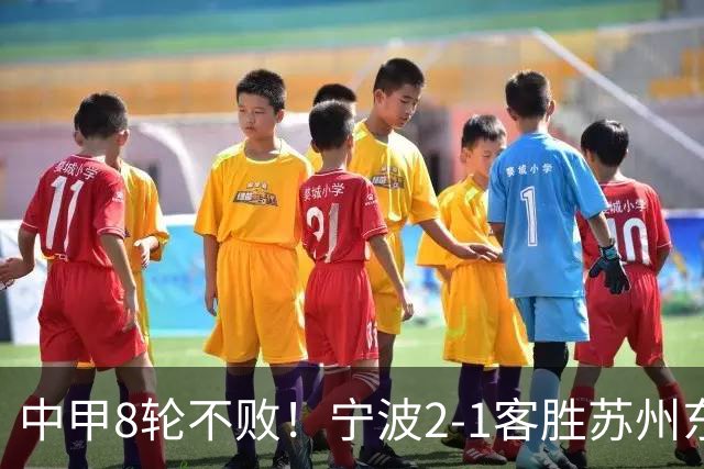 中甲8轮不败！宁波2-1客胜苏州东吴 庞开元传射 东吴仍处降级区
